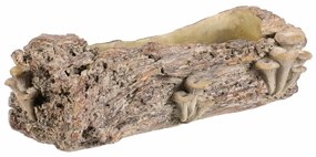 Ambalaj din beton - ghiveci, lemn cu ciuperci, 49x 21 x 15 cm