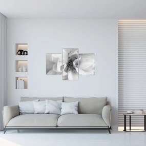 Tablou - Floare,alb-negru (90x60 cm)