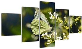 Tablou cu fluture (125x70 cm), în 40 de alte dimensiuni noi