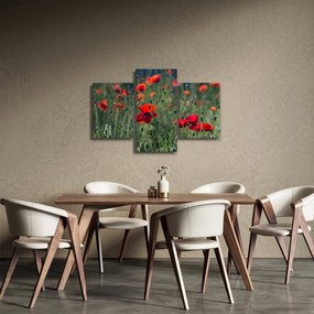 Tablou - Lunca cu maci (90x60 cm)