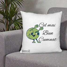 Cadou pentru Cumnat - Perna Personalizata Cel mai Bun Cumnat cu Personaj Funny Verde, 40x40 cm, Alb Pufos, Husa Detasabila, Perna Inclusa, BEKZ®