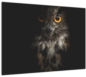 Tablou cu bufnița (70x50 cm)