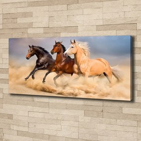 Tablou canvas Galopantă cai