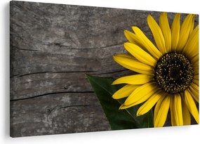 Tablou - Floare de floarea soarelui (90x60 cm)