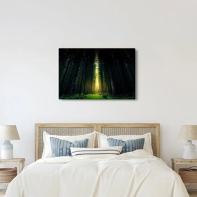 Tablou cu pădurea întunecată (90x60 cm)