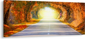 Tablou - Poarta din copaci (120x50 cm)