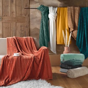 Cuvertură verde-deschis din microflanel 180x220 cm Arya – douceur d'intérieur