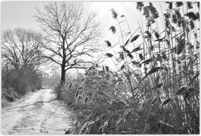 Tablou - Câmpuri în timpul iernii (90x60 cm)