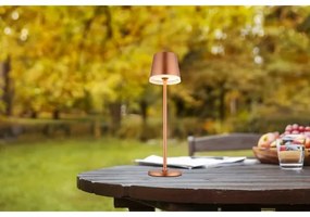 Corp de iluminat LED solar Globo 36637RM LED/0,06W/3V 3000K IP44 cupru