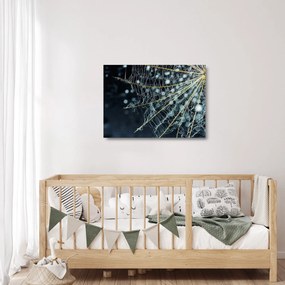 Tablou pe sticlă - Floare cu pânză de pâianjen (70x50 cm)