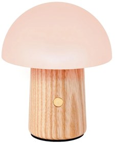 Veioză cu luminozitate reglabilă și abajur din sticlă (înălțime 13 cm) Alice – Gingko