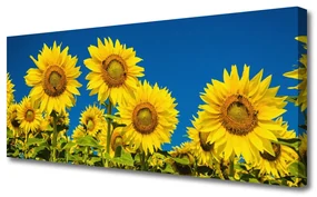 Tablou pe panza canvas Floarea soarelui Floral Galben Verde