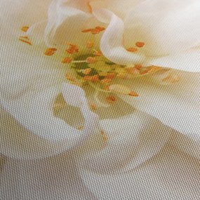 Tablou - Floare (150x105 cm)