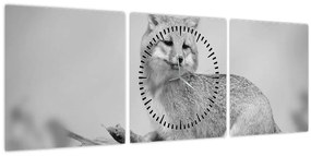 Tablou - Vulpe gri (cu ceas) (90x30 cm)