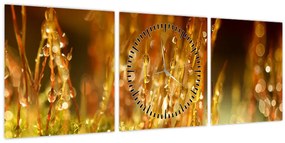 Tablou - Detaliu rouă (cu ceas) (90x30 cm)