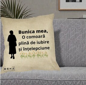 Cadou pentru Bunica - Perna Personalizata Bunica Mea Comoara Iubire Intelepciune Silueta cu Nepoata, 40x40 cm, Crem, Husa Detasabila, Perna Inclusa, BEKZ®