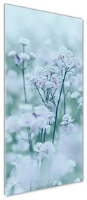 Tablou Printat Pe Sticlă Astrantia