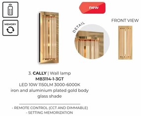 Aplica de perete LED CCT si telecomanda Cally
