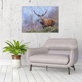 Tablou pe sticlă - Cerb în peisaj (70x50 cm)