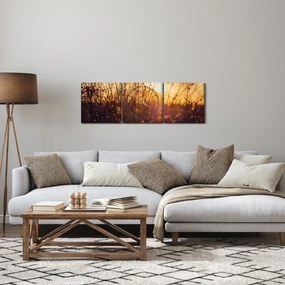 Tablou - Câmp la apus de soare (cu ceas) (90x30 cm)