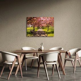Tablou - livada cu cireși (70x50 cm)