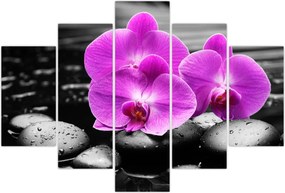 Tablou - Orhidee violet (150x105 cm)