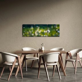 Tablou - Iarbă (cu ceas) (90x30 cm)