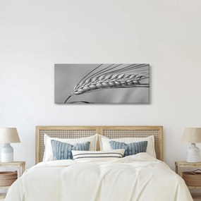 Tablou - Grâu,alb-negru (120x50 cm)
