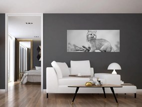 Tablou - Vulpe gri (120x50 cm)