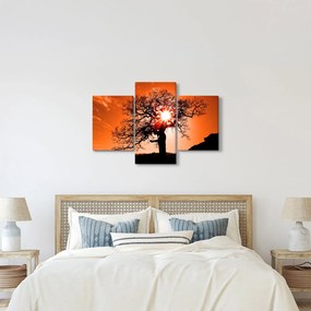 Tablou - Fag la apus de soare (90x60 cm)