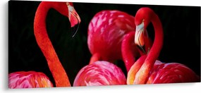 Tablou cu flamengo roșii (120x50 cm)