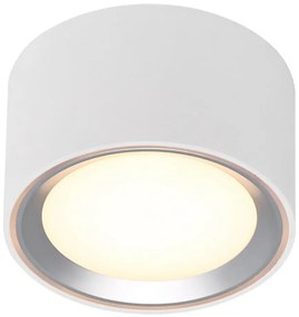 Plafonieră LED dimabilă Nordlux FALLON LED/5,5W/230V 2700K