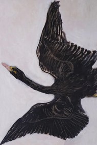 Reproducere The Black Swan (2 of 2) - Hilma af Klint