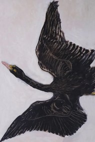 Reproducere The Black Swan (2 of 2), Hilma af Klint