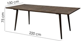 Masă de dining cu aspect de lemn de ulm 100x220 cm Diamond – DAN-FORM Denmark