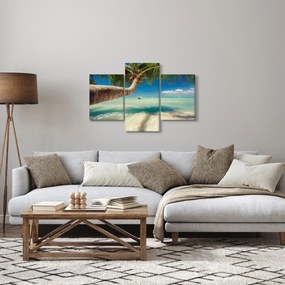 Tablou - Mare curată cu palmier (90x60 cm)