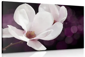 Tablou magnolie pe fundal abstract