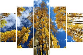 Tablou - Aspen (150x105 cm)