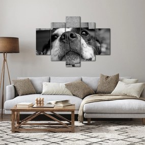 Tablou cu câine (150x105 cm)