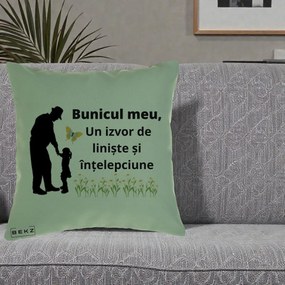 Cadou pentru Bunic - Perna Personalizata Bunicul Meu Izvor de Liniste cu Fluture si Fetita, 40x40 cm, Verde, Husa Detasabila, Perna Inclusa, BEKZ®
