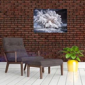 Tablou - Albă ca Zăpada Copac (70x50 cm)