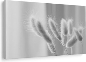 Tablou - Iarbă de coadă de iepure (90x60 cm)