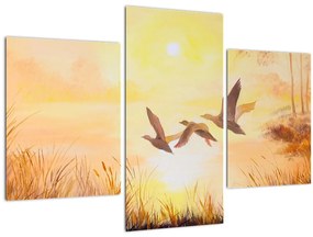 Tablou - Macarale la apus de soare (90x60 cm)