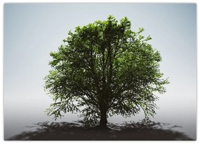 Tablou pe sticlă - Copacul singuratic (70x50 cm)