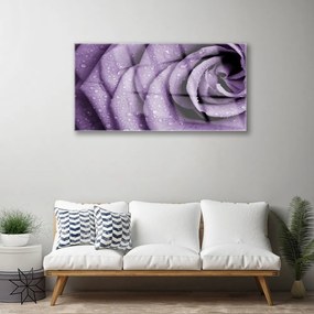 Tablouri acrilice Rose Floral violet