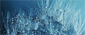 Tablou - Picături de rouă (120x50 cm)