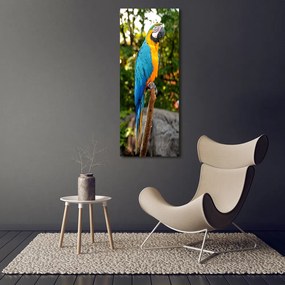 Fotografie imprimată pe sticlă Ara papagal