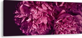 Tablou - Floarea bujorului (120x50 cm)