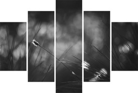 Tablou - Iarbă de pajiște (150x105 cm)