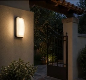 Rabalux 77230 - Aplică LED de exterior pentru perete ORLUN LED/20W/230V 4000K IP65